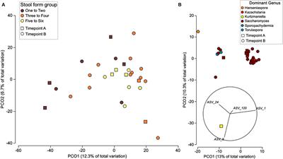 Changes to the Gut Microbiome in Young Children Showing Early Behavioral Signs of Autism